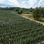 Uroczysko Nad Pilicą Sauna&balia Pilica