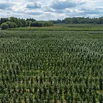 Uroczysko Nad Pilicą Sauna&balia * Pilica